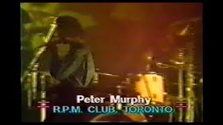Peter Murphy - Tale of the Tongue (Live Toronto 1987)