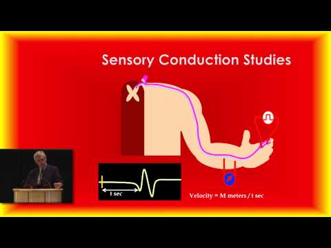 Stanford PFC: CMT: The Basics