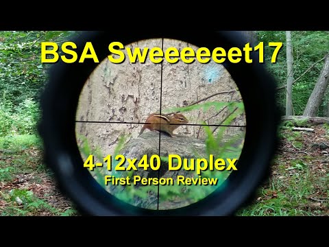 BSA Sweet 17 3-12x40mm  - What Does $107 Buy You? - First Person Review