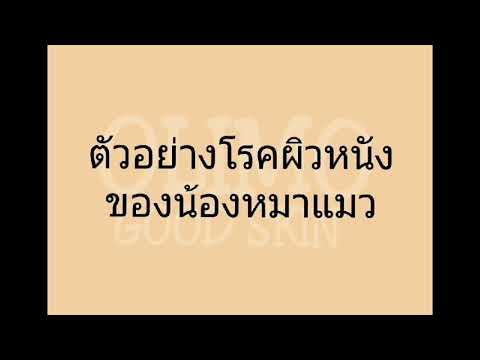โรคสะเก็ดเงินกว่าร่างกายความชื้น โภชนาการสำหรับโรคสะเก็ดเงิน