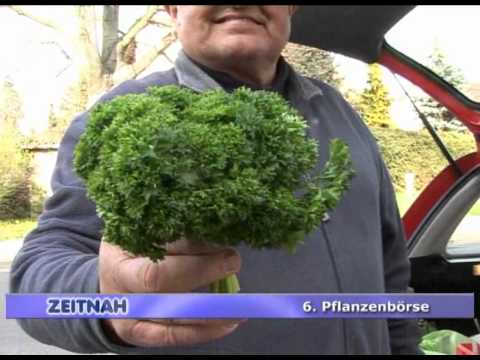 6.Pflanzenbörse - RAN1