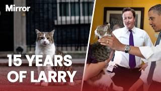 Download lagu Larry the cat reaches 15 year milestone as Downing Street’s official Chief Mouser mp3