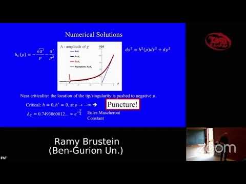4'th Black-Hole Microstucture Conference - 26'th Rencontres Itzykson - Ramy Brustein