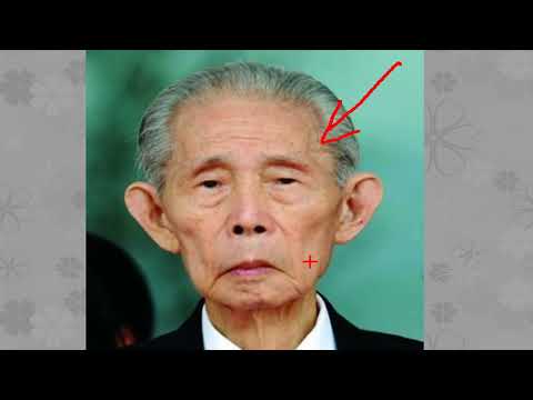 鼠耳面相