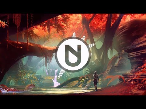 Netbuse - Echo X Nightwing (Mashup)