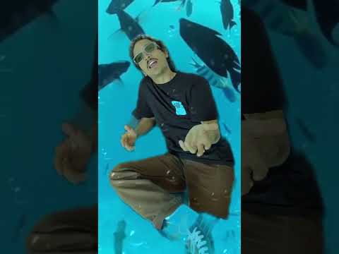 MEDUSA enséñame a bailar. #caloncho #cuco #música #music #nuevamúsica #nuevolanzamiento