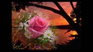 Caetano Veloso-Contigo En La Distancia.