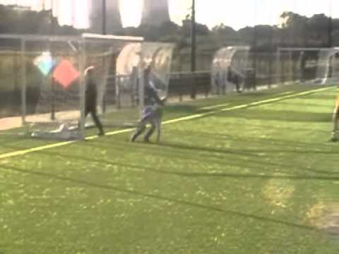 Linne E1 - EVV E1.wmv