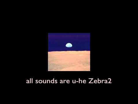 Zebra2 Sounds #02 - "Desolation 2"