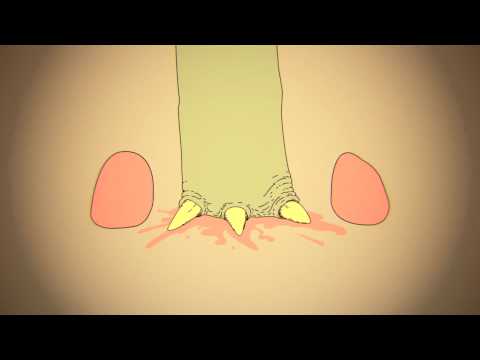 16Bit - Dinosaurs (Official Video) HD