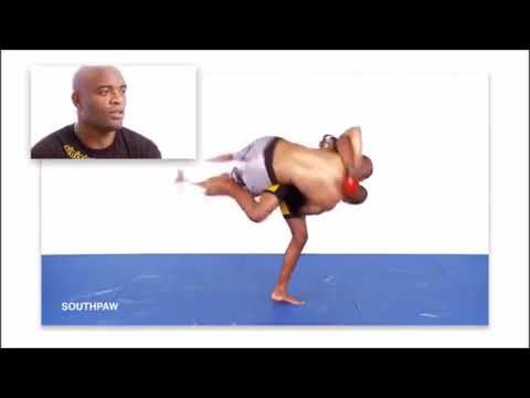 Anderson Silva   Takedowns and Takedown Defense for MMA