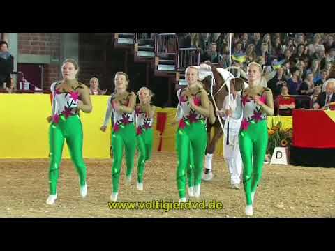 DVM 2012 - Gruppen 16 - RFV Cremlingen u.U.