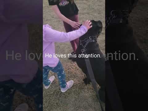 Samson gets all the attention.