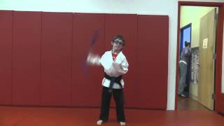 preview picture of video 'Weapons training in martial arts class in Eastchester'