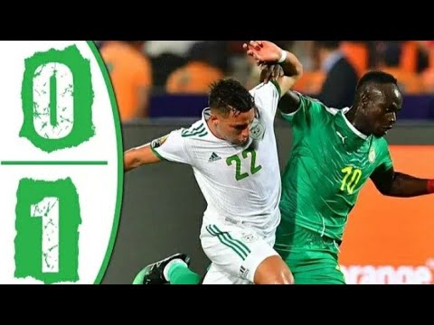 Senegal vs Algeria 0-1 All Goals & Highlights - FINAL OF AFRICA CUP OF NATIONS 2019