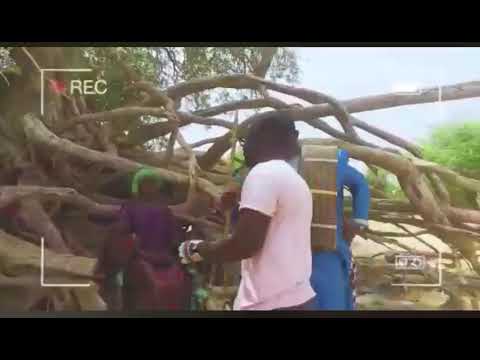 Préparation clip advise Salif tassor