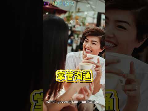 CHAKRASPALife - 7 Energy Crystals in one Shower Head to balance your chakra attracting abundance