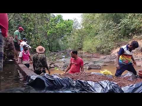 #Majhi Vasundhara Abhiyan 6.0 मुख्यमंत्री समृद्ध पंचायतराज अभियान  ग्रामपंचायत पानवळ मिशन बंधारे.