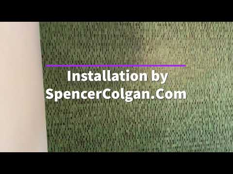Omexco Belgian Wallcoverings Accent Wall - Spencer Colgan designer: Amanda Le St. Pete Florida