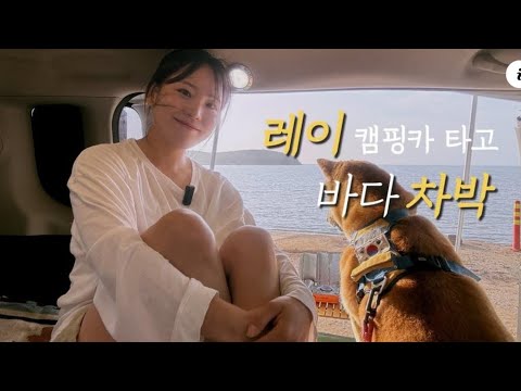 한국 캠핑카 차박 여행 | 실미도 호텔 같은 캠핑 미니칸