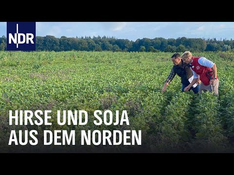 , title : 'Hirse, Kichererbsen und Soja aus dem Norden | Die Nordreportage | NDR Doku'