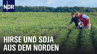 Hirse, Kichererbsen und Soja aus dem Norden | Die Nordreportage | NDR Doku