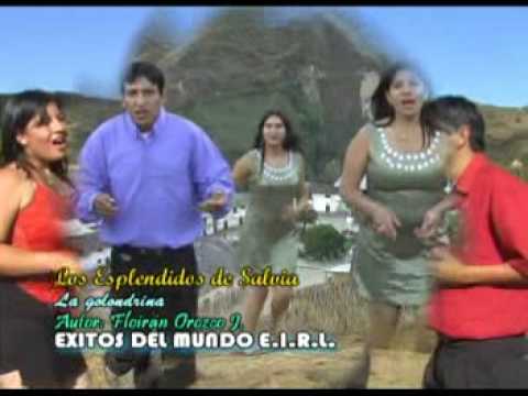 ESPLENDIDOS DE SALVIA - La Golondrina