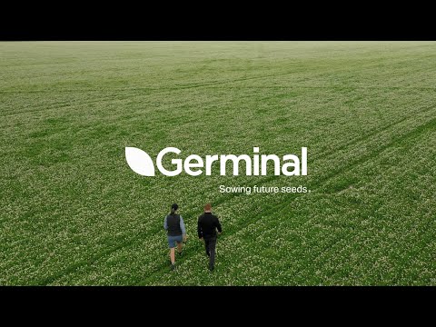 Germinal DoubleRoot: A World-First Hybrid Clover