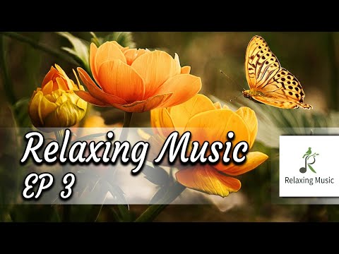 Relaxing Music Stress Relief | EP 3 [#relaxingmusic ]