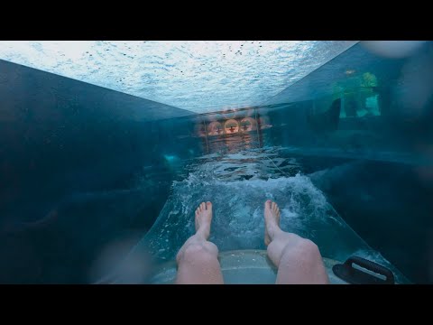 🙈 Would YOU TRY This Water Slide at BIGGEST Water Park Aquaventure in Dubai? Shark Attack Waterslide