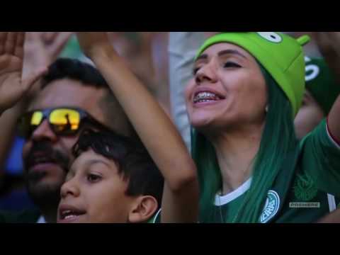 Palmeiras Campeão Brasileiro 2016 Homenagem