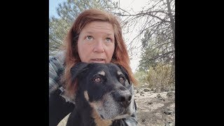 Real time from Oregon - Very Sad News-  Saying Goodbye to Capone