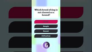 Trivia Tuesday: Can You Answer These Questions? #MindMouseTrivia