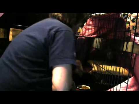 Selena loves CatDaddy