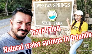 Travel Vlog. Natural water springs in Orlando. Wekiwa springs state park.