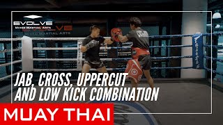 Jab Cross Uppercut Low Kick Combination