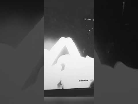 DASH 736 x BALLY x 181 - CBO (clip)