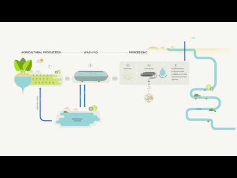 Water & sugar beet : Nothing is wasted, everything is processed