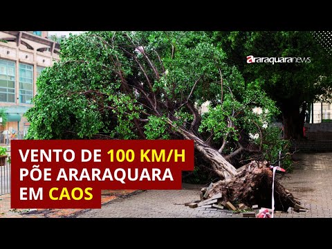 TEMPORAL HISTÓRICO: Vento de 100 km/h Põe Araraquara em Caos