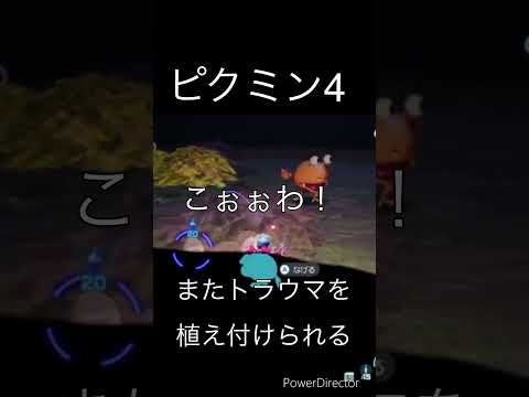 【ピクミン4】任天堂さんがまたトラウマ植え付けてくるよ【ジャンボチャッピー】#ピクミン4 #チャッピー #switch #ゲーム #実況 #ピクミン