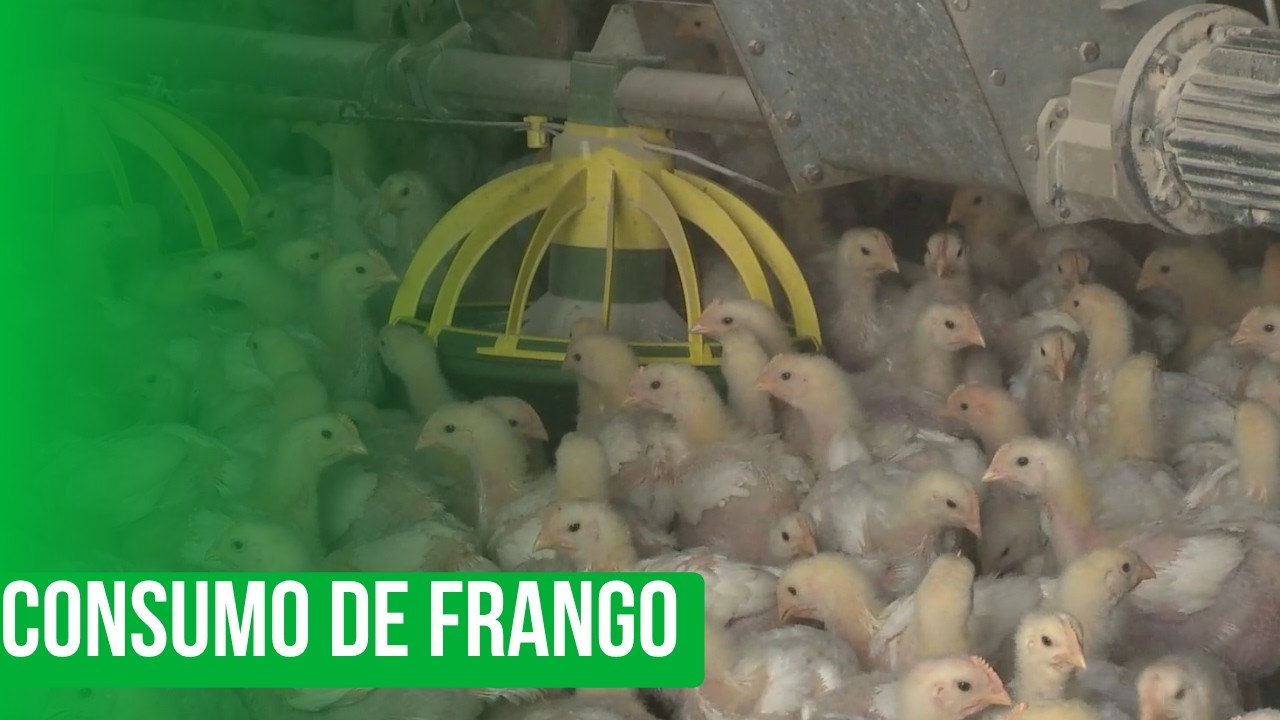 Consumo de frango