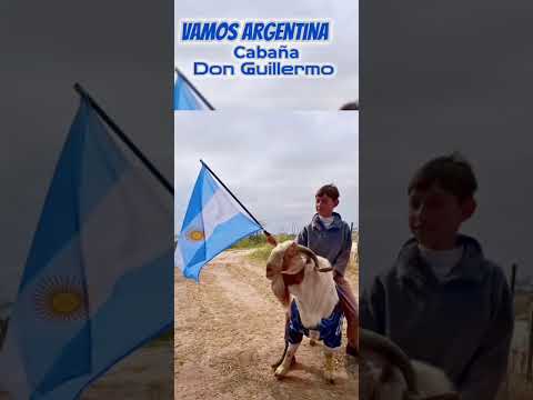 Concepción Del Bermejo Chaco Argentina wasapp 3644591146