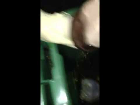 Mehdi Ben dans une poubelle