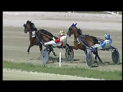 Napoli Trotto 02/04/2021 - 2ª corsa