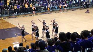 preview picture of video 'DSHS Jackettes Dance at DSHS vs. Live Oak Pep Rally 10/29/2010'