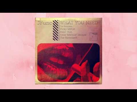 JFunc - What You Need (Polar Sun Remix)