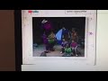 Barney Friends PBS