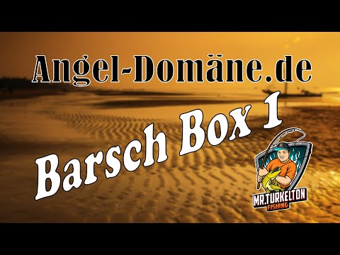 MrTurkelton - Angel-Domäne Barsch Box 1 - Kann die Box mithalten?