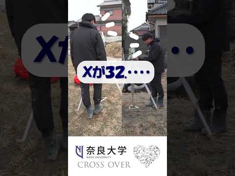 言語文化学科 【奈良大学・文化財学科】今年も斑鳩町で発掘調査を行いました（その２） #奈良大 #発掘 #shorts #古墳