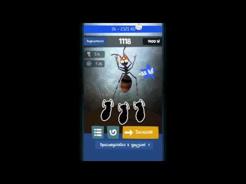 "Antyz" walkthrough levels 25-27, longplay, all maggots